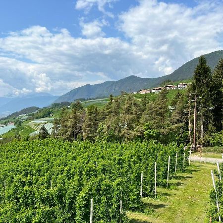 Agritur Maso Forcola Villa Brez Luaran gambar
