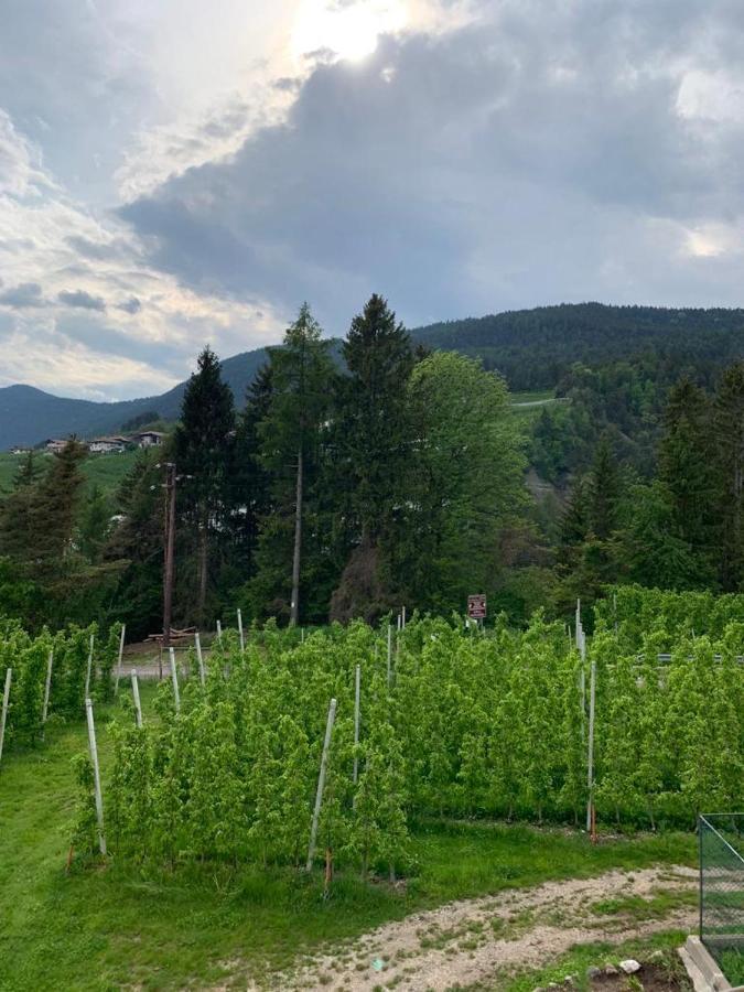 Agritur Maso Forcola Villa Brez Luaran gambar