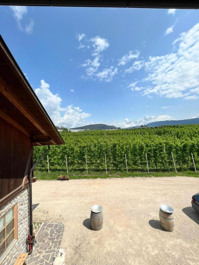 Agritur Maso Forcola Villa Brez Luaran gambar
