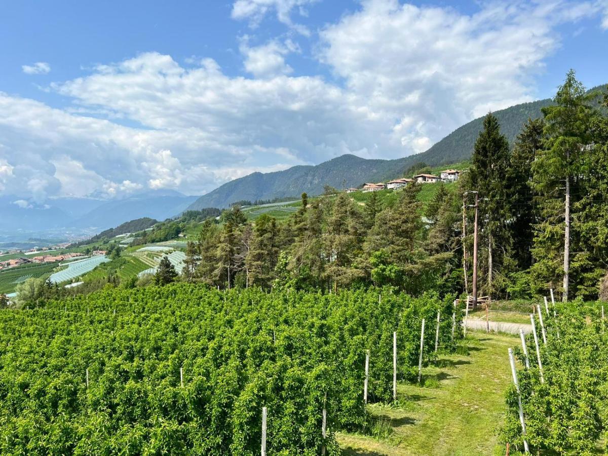 Agritur Maso Forcola Villa Brez Luaran gambar
