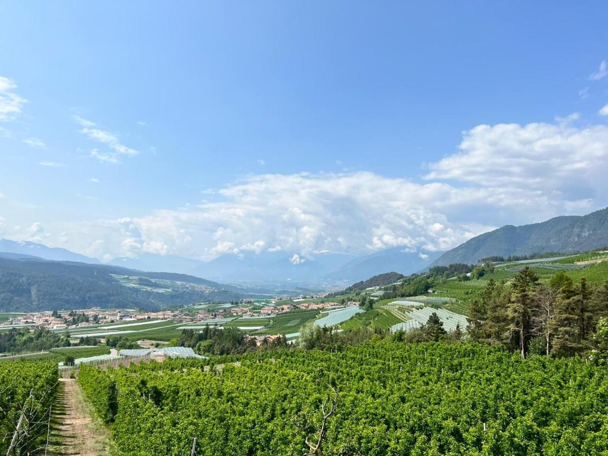 Agritur Maso Forcola Villa Brez Luaran gambar